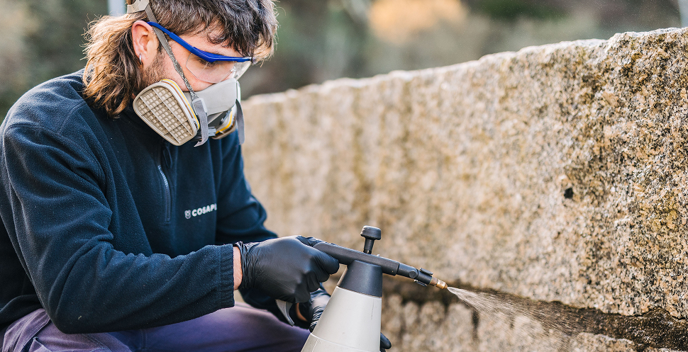 Cosaplag Servicio Control Plagas Eficaz