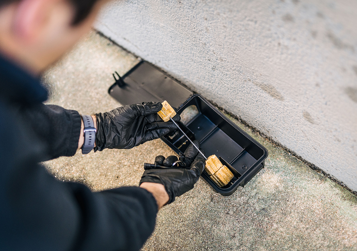 Técnico especializado de Cosaplag con guantes de protección instalando cebos profesionales en una estación de control de roedores, parte de los servicios preventivos de desratización.